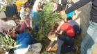 IMG-20191029-WA0016
