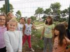 DSC01687(1)