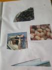 IMG-Ed4fdb576ea3d6a5ff5bab88d060af01-V