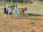 IMG-20231004-WA0022