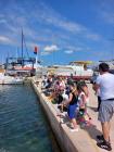 IMG-20240529-WA0019